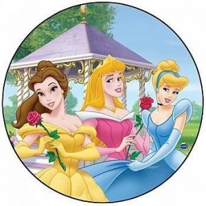 Zasłonka przeciwsłoneczne statyczne Księżniczki - Disney